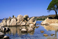 萨克拉门托离旧金山多远